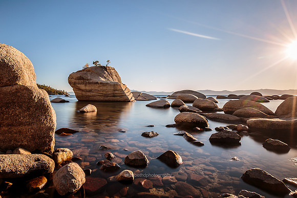 Bonsai Rock