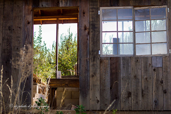 Larsen Apple Farm / El Dorado