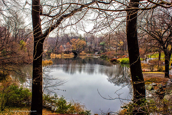Central Park