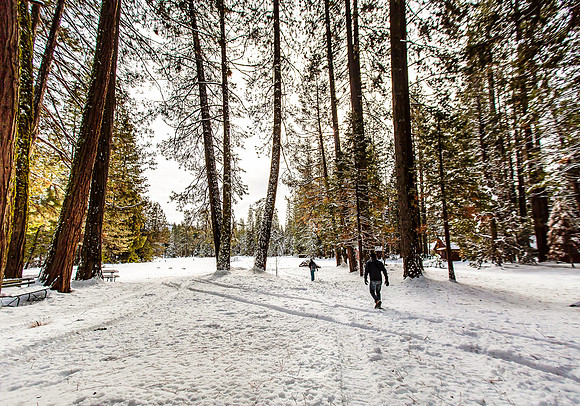 Yosemite Follow Me